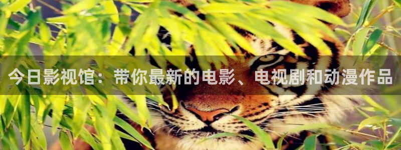 5g探花影院天天看天天爽：今日影视馆：带你最新的电影、电视剧和动漫作品