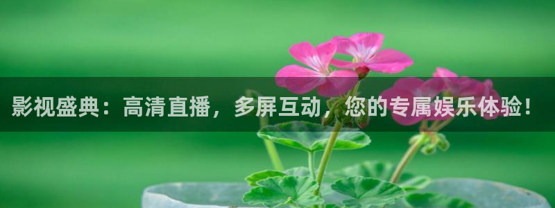 国产探花小视频：影视盛典：高清直播，多屏互动，您的专属娱乐体验！