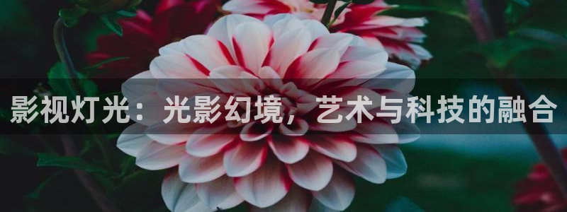 探花视频完整版免费观看：影视灯光：光影幻境，艺术与科技的融合