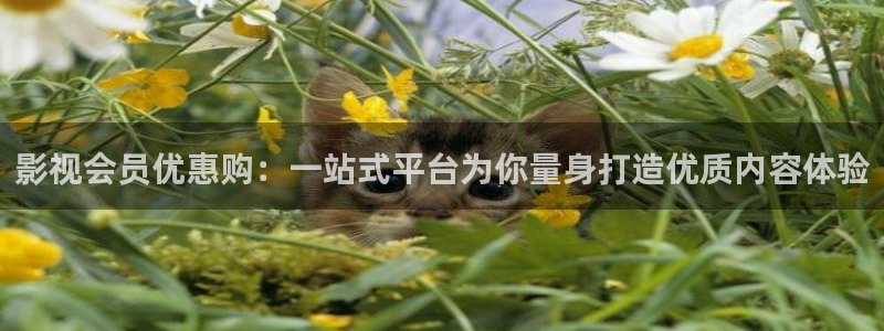国产探花一区视频：影视会员优惠购：一站式平台为你量身打造优质内容体验