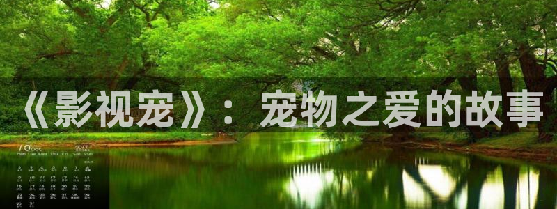探花在线视频观看：《影视宠》：宠物之爱的故事