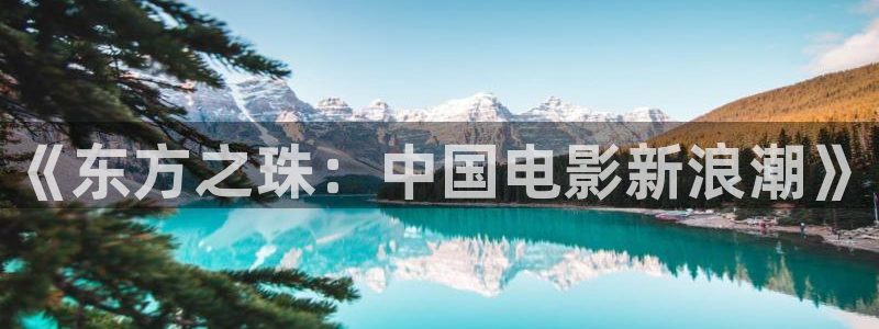 探花免费在线观看：《东方之珠：中国电影新浪潮》