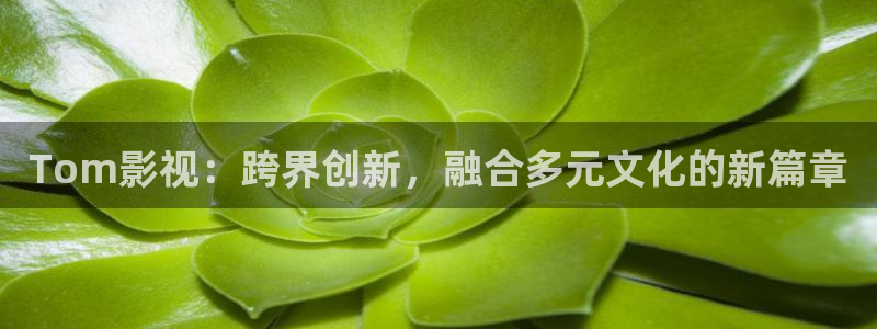 探花视频完整版：Tom影视：跨界创新，融合多元文化的新篇章