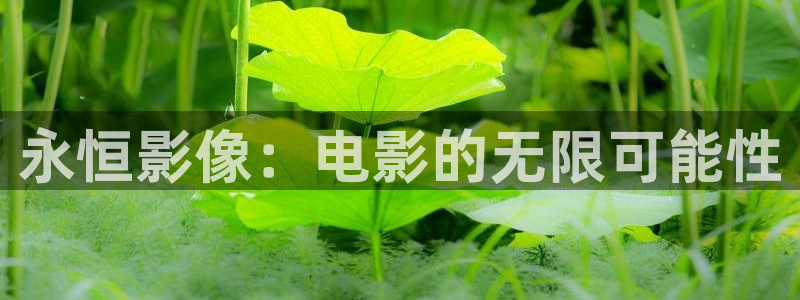 探花啪啪视频：永恒影像：电影的无限可能性