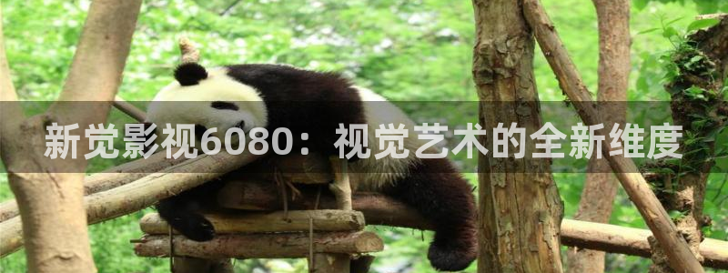 小宝探花在线观看视频：新觉影视6080：视觉艺术的全新维度