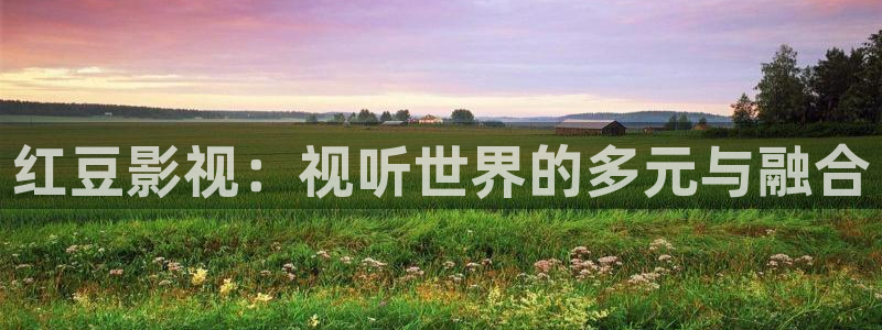 国产探花视频一区：红豆影视：视听世界的多元与融合