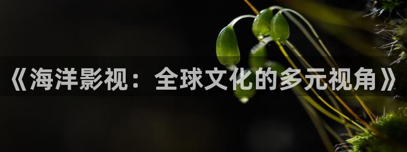 国产探花视频在线：《海洋影视：全球文化的多元视角》