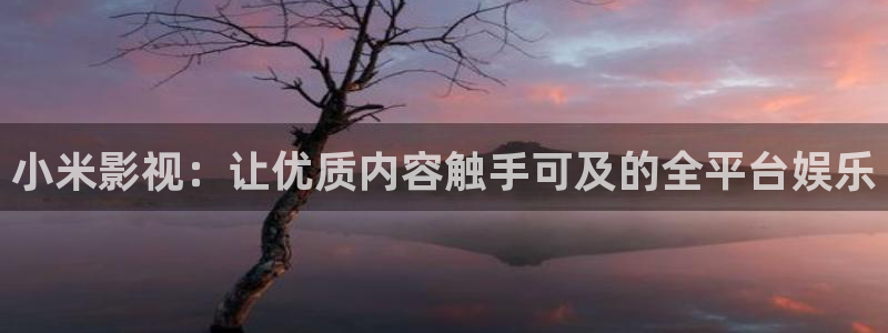 探花视频推荐：小米影视：让优质内容触手可及的全平台娱乐